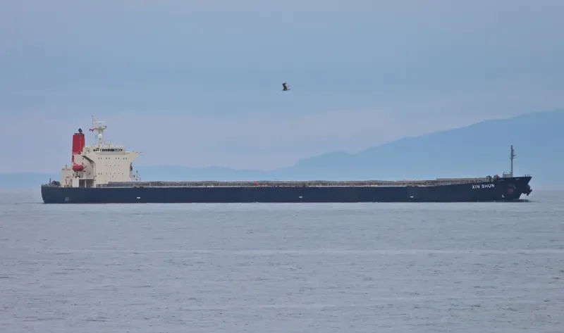 XIN SHUN Bulk Carrier IMO 9252199 photo 6