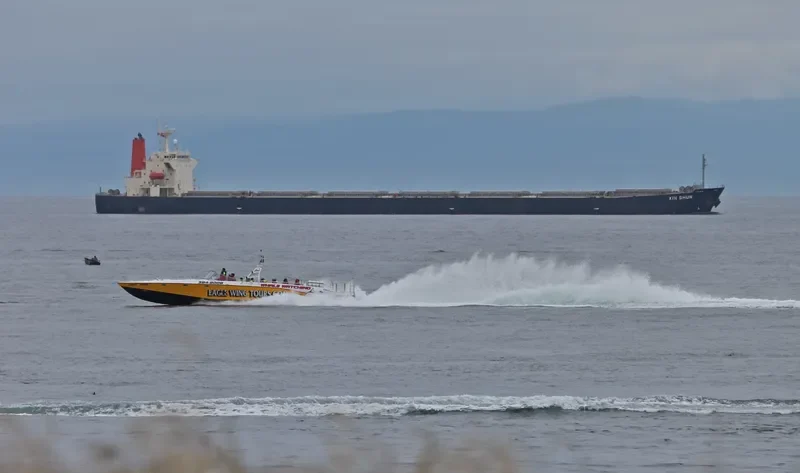 XIN SHUN Bulk Carrier IMO 9252199 photo 7