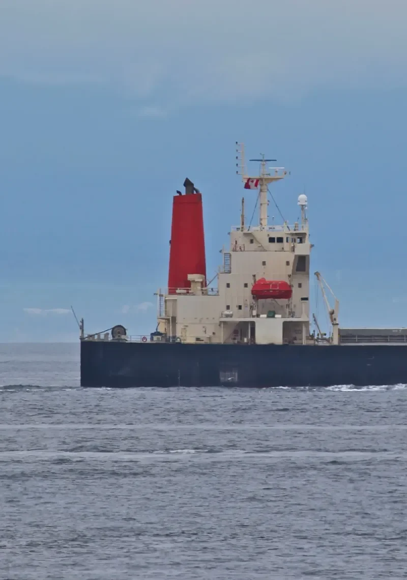 XIN SHUN Bulk Carrier IMO 9252199 photo 9