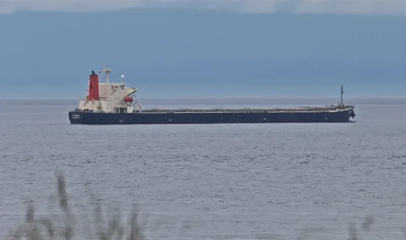 XIN SHUN Bulk Carrier IMO 9252199 photo 10
