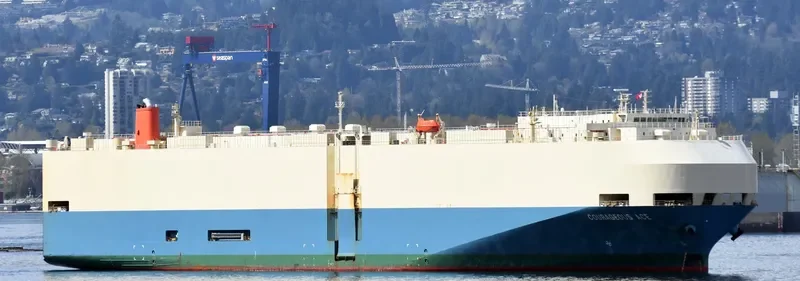 COURAGEOUS ACE General Cargo IMO 9252204 photo 8