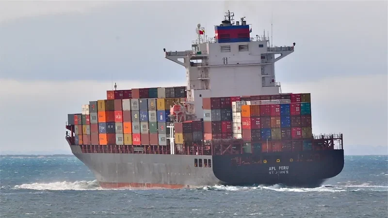 REN JIAN 9 Container Ship IMO 9252230 photo 2