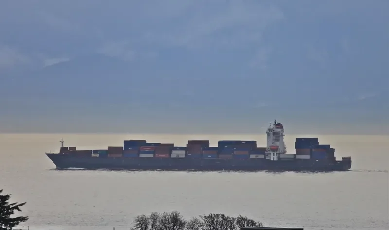 REN JIAN 9 Container Ship IMO 9252230 photo 5