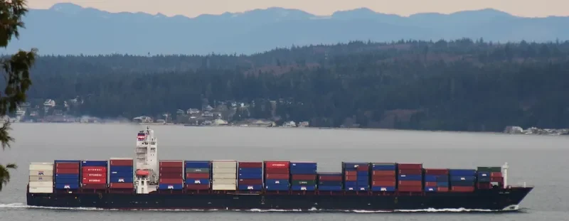 REN JIAN 9 Container Ship IMO 9252230 photo 8