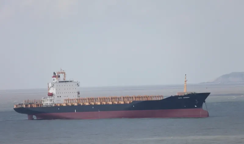 STRAIT MAS Container Ship IMO 9252369 photo 7