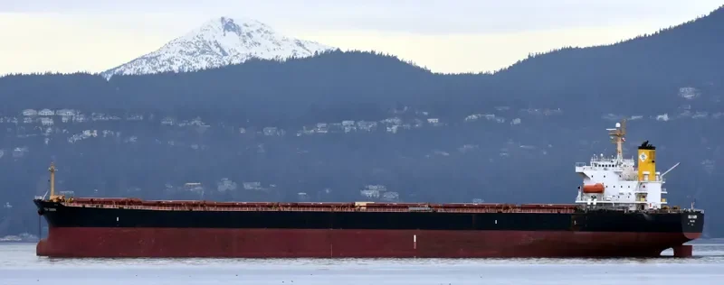 SEA CHARM Bulk Carrier IMO 9252412 photo 3