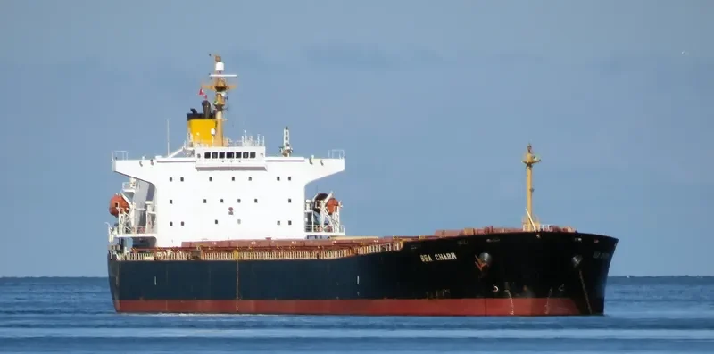 SEA CHARM Bulk Carrier IMO 9252412 photo 5