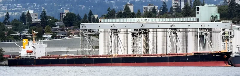 SEA CHARM Bulk Carrier IMO 9252412 photo 6
