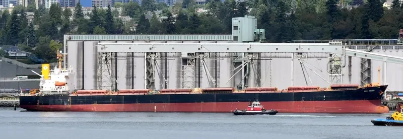 SEA CHARM Bulk Carrier IMO 9252412 photo 7