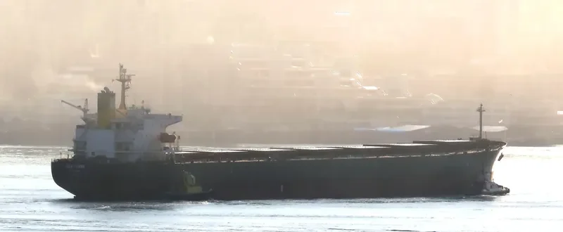 SEA CHARM Bulk Carrier IMO 9252412 photo 8