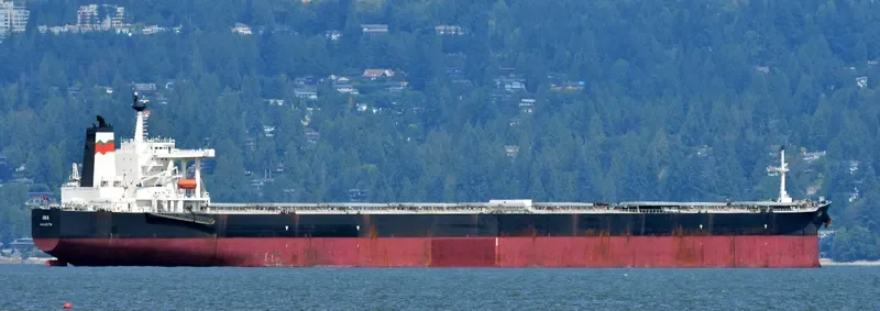 LILA LISBON Bulk Carrier IMO 9252498 photo 5