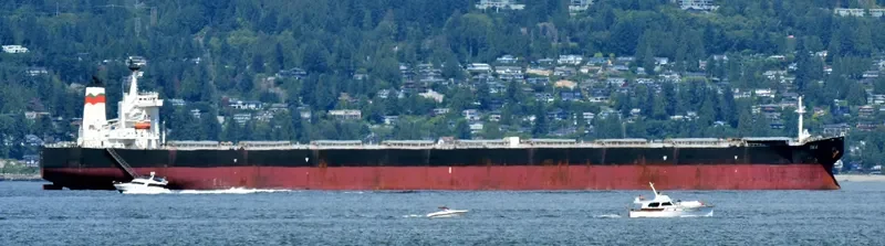 LILA LISBON Bulk Carrier IMO 9252498 photo 7