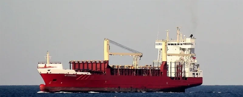 BF ESPERANZA Container Ship IMO 9252785 photo 2