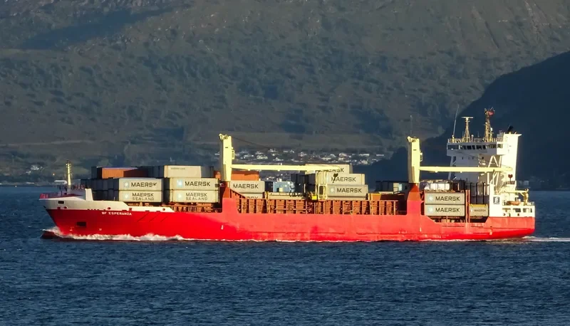 BF ESPERANZA Container Ship IMO 9252785 photo 3