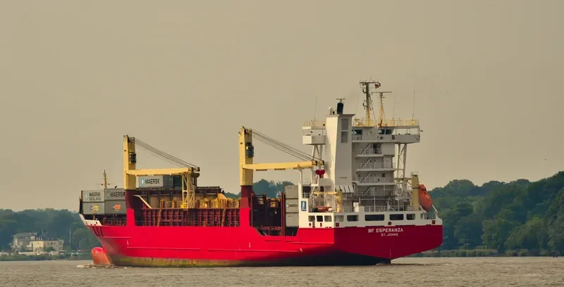 BF ESPERANZA Container Ship IMO 9252785 photo 8