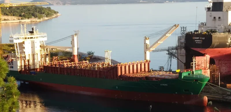 AVERA Container Ship IMO 9252797 photo 8