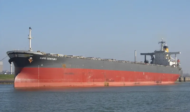 CAPE CENTURY Bulk Carrier IMO 9253088 photo 4