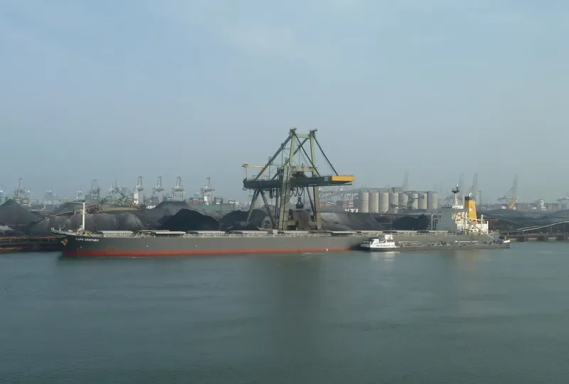 CAPE CENTURY Bulk Carrier IMO 9253088 photo 10
