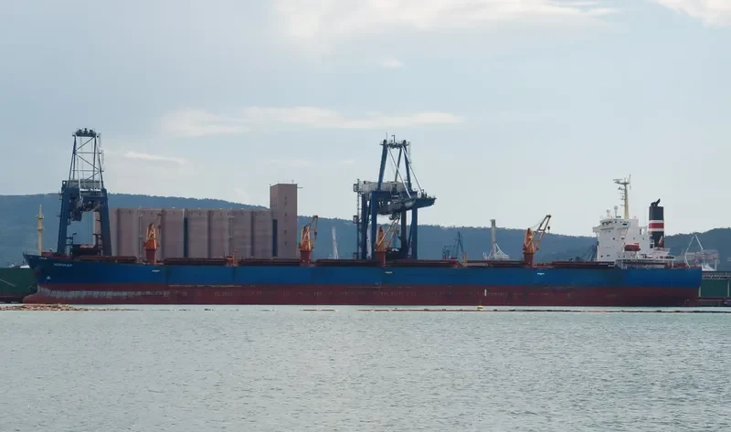 NEW SUCCESS Bulk Carrier IMO 9253181 photo 3