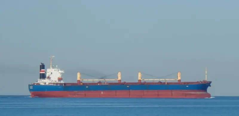 NEW SUCCESS Bulk Carrier IMO 9253181 photo 4