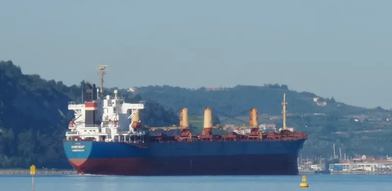 NEW SUCCESS Bulk Carrier IMO 9253181 photo 5