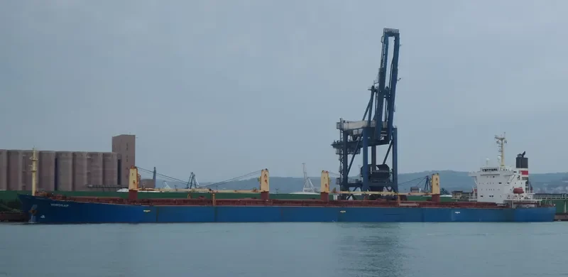 NEW SUCCESS Bulk Carrier IMO 9253181 photo 7