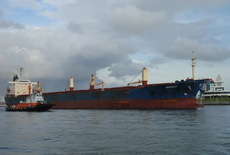 NEW SUCCESS Bulk Carrier IMO 9253181 photo 9