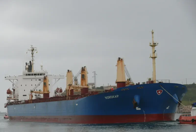 NEW SUCCESS Bulk Carrier IMO 9253181 photo 10