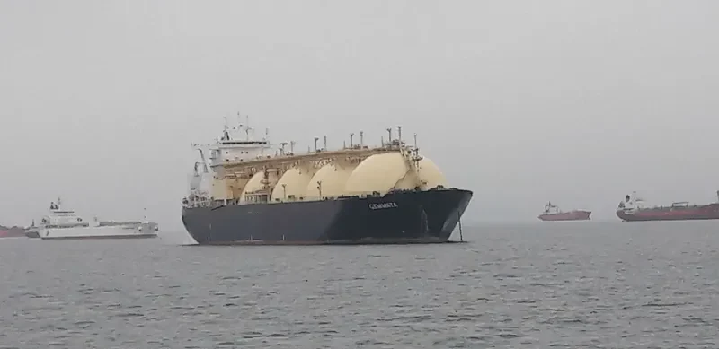 GEMMATA General Cargo IMO 9253222 photo 6