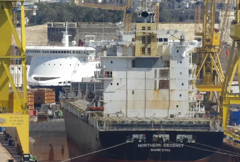 NORTHERN DECENCY Container Ship IMO 9253296 photo 7