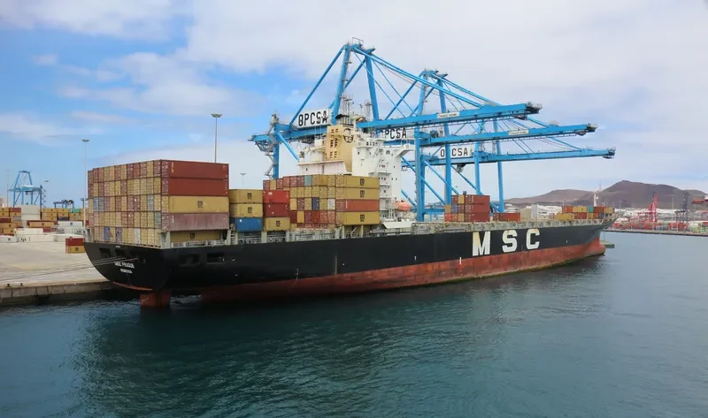 NORTHERN DELICACY Container Ship IMO 9253301