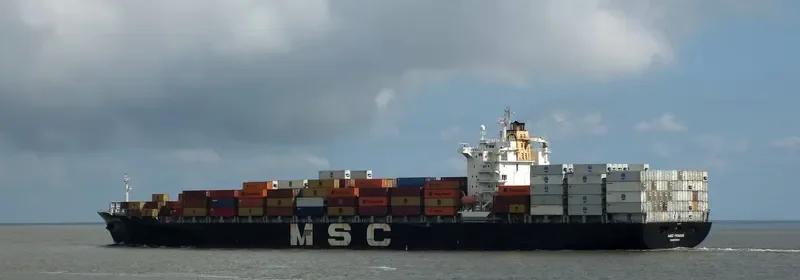 NORTHERN DELICACY Container Ship IMO 9253301 photo 2