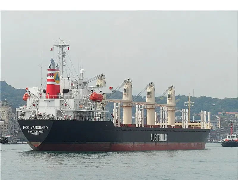 TAN BINH 135 Bulk Carrier IMO 9253404 photo 2