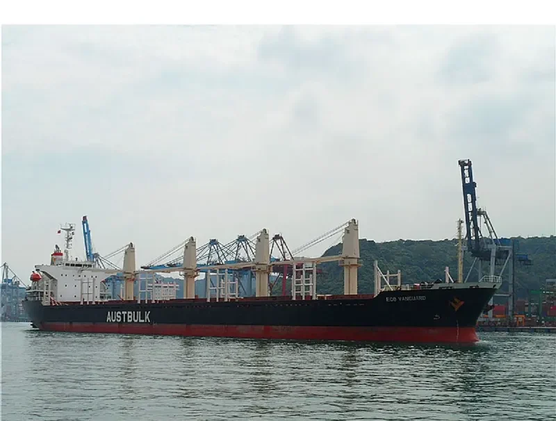 TAN BINH 135 Bulk Carrier IMO 9253404 photo 3