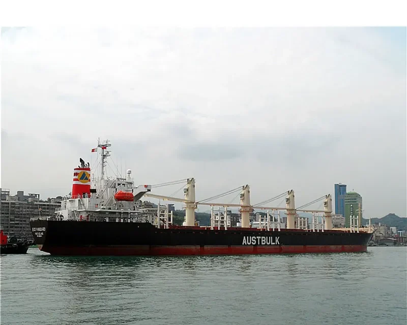 TAN BINH 135 Bulk Carrier IMO 9253404 photo 5