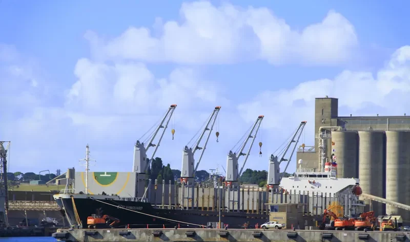 TAN BINH 135 Bulk Carrier IMO 9253404 photo 6