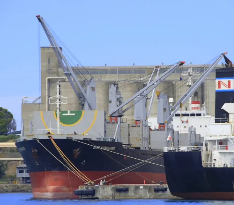 TAN BINH 135 Bulk Carrier IMO 9253404 photo 7