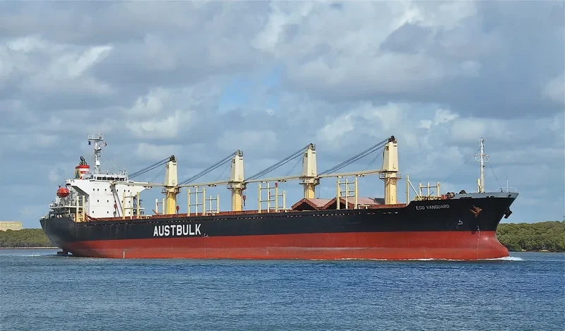 TAN BINH 135 Bulk Carrier IMO 9253404 photo 8