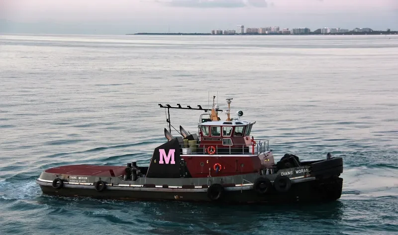 DIANE MORAN General Cargo IMO 9253612 photo 2