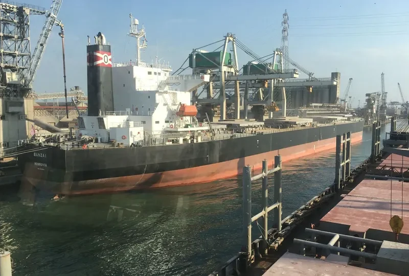XIN MENG XIANG Bulk Carrier IMO 9253806 photo 2