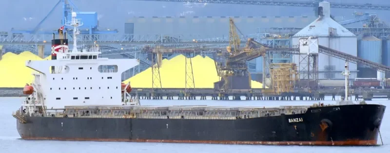 XIN MENG XIANG Bulk Carrier IMO 9253806 photo 3