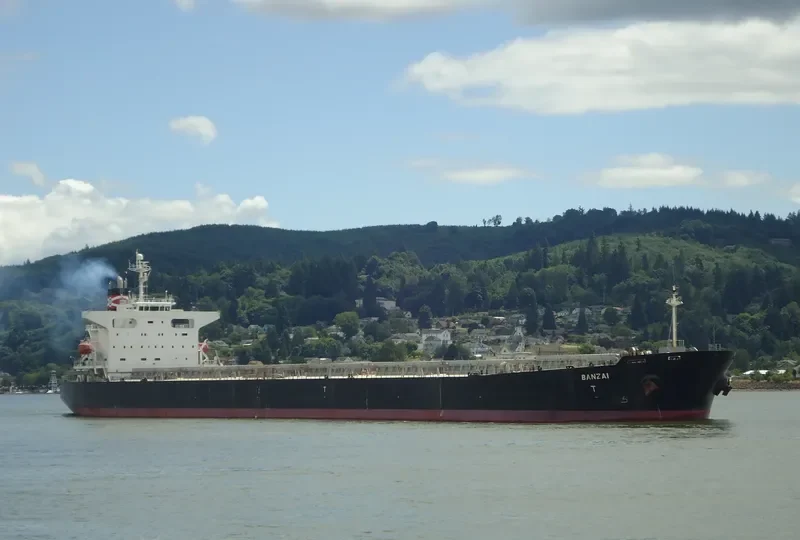 XIN MENG XIANG Bulk Carrier IMO 9253806 photo 5