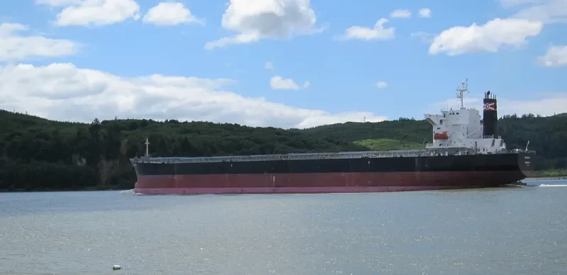 XIN MENG XIANG Bulk Carrier IMO 9253806 photo 6
