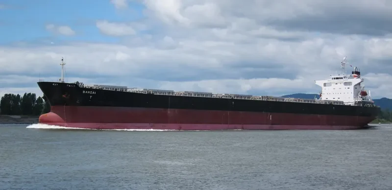 XIN MENG XIANG Bulk Carrier IMO 9253806 photo 7