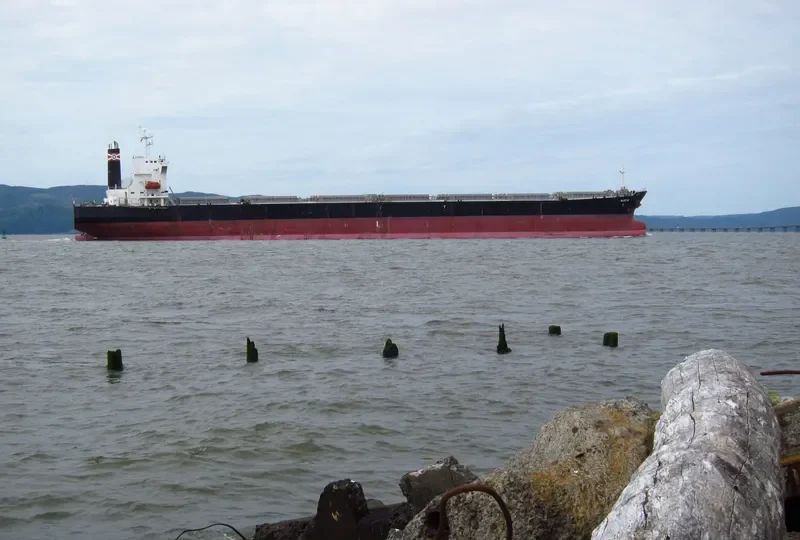 XIN MENG XIANG Bulk Carrier IMO 9253806 photo 8