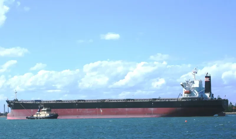 XIN MENG XIANG Bulk Carrier IMO 9253806 photo 10