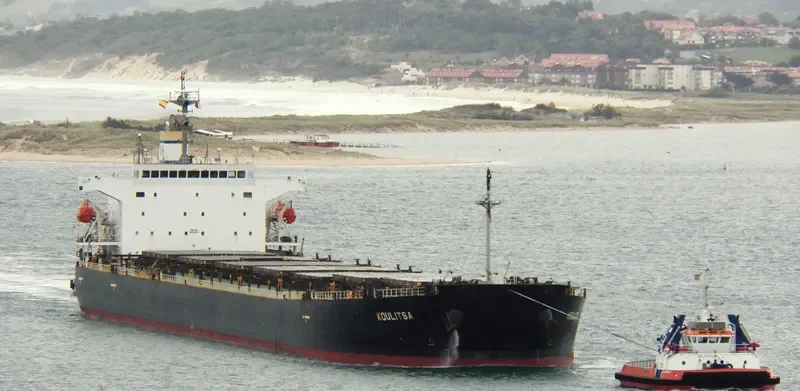 KOULITSA Bulk Carrier IMO 9253832 photo 2