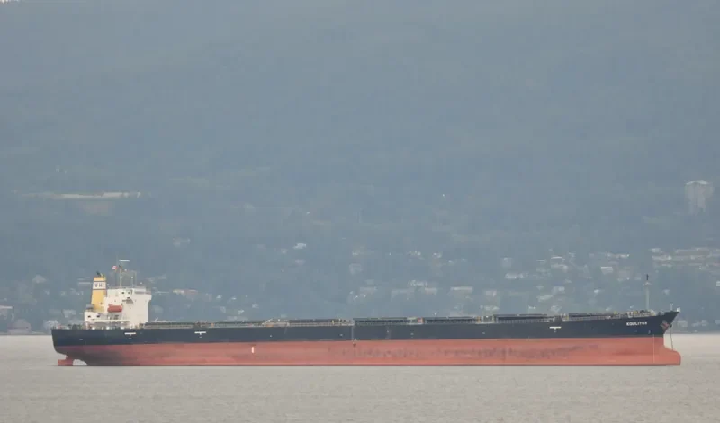KOULITSA Bulk Carrier IMO 9253832 photo 8