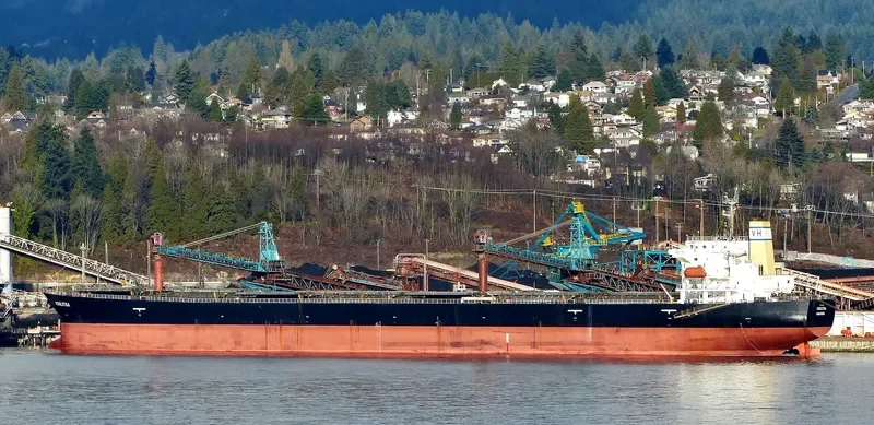 KOULITSA Bulk Carrier IMO 9253832 photo 10