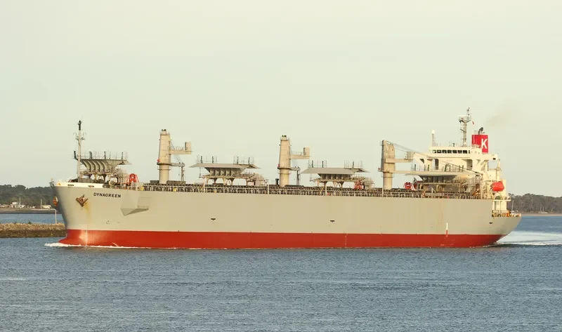 DYNAGREEN Bulk Carrier IMO 9253844